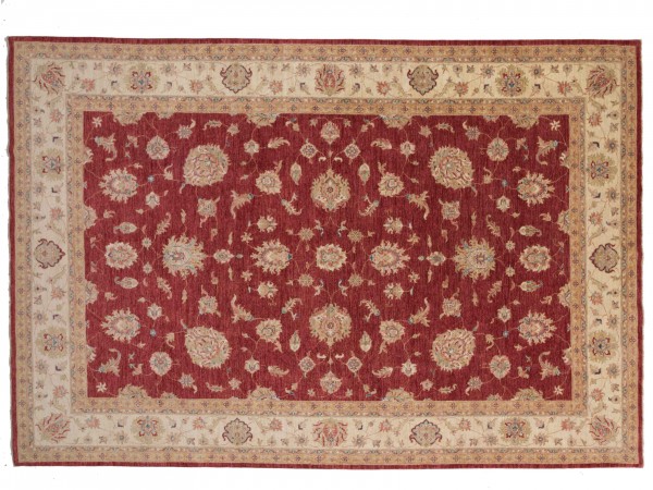 Afghan Chobi Ziegler Rug 250x350 Hand-Knotted Red Oriental Orient Short Pile